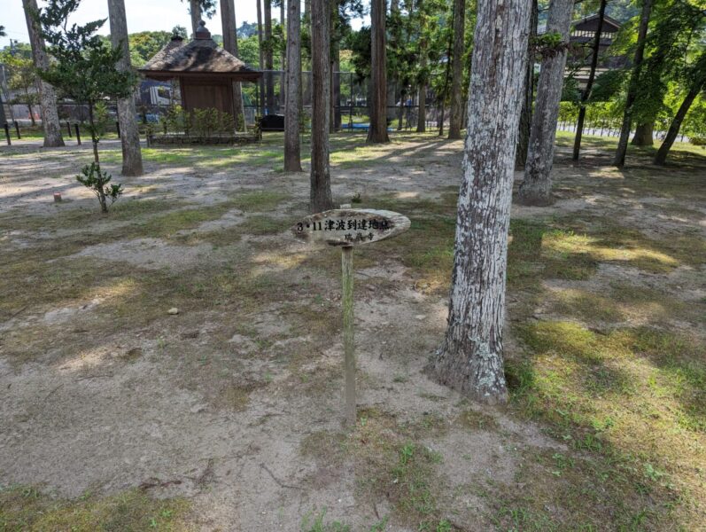 瑞巌寺(津波到達点)