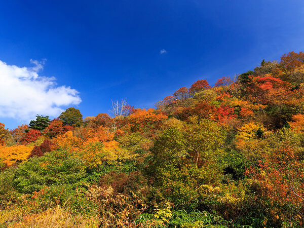 栗駒山