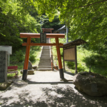 06_MG_0494