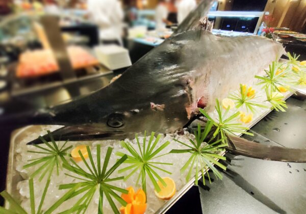 Image d&#39;un thon marlin