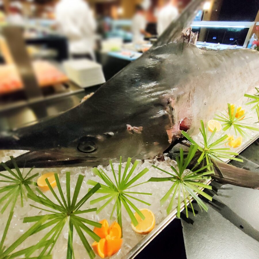 Image of a marlin tuna