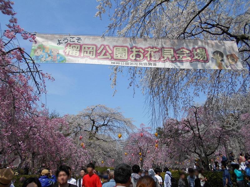 榴岡公園桜祭り