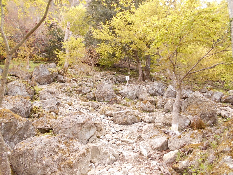 天守閣自然公園2