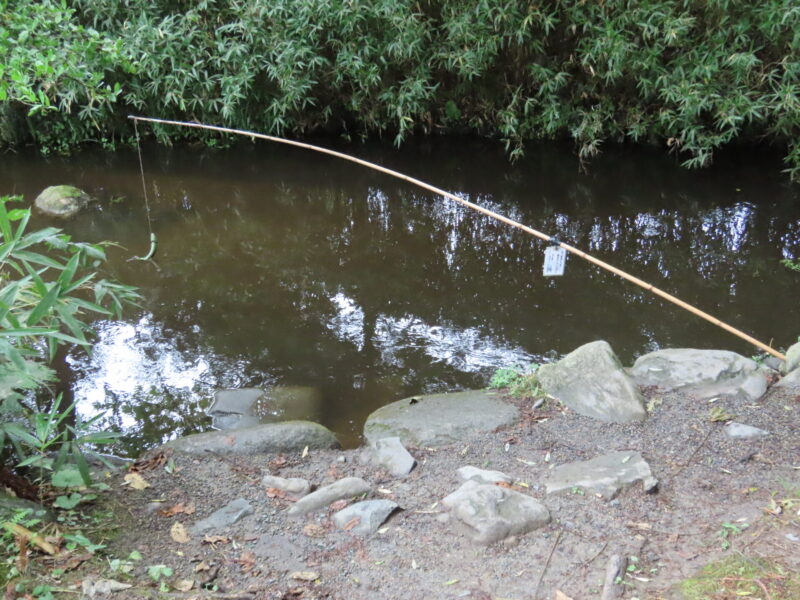 Une canne à pêche avec un concombre attaché qui semble avoir été laissé derrière elle