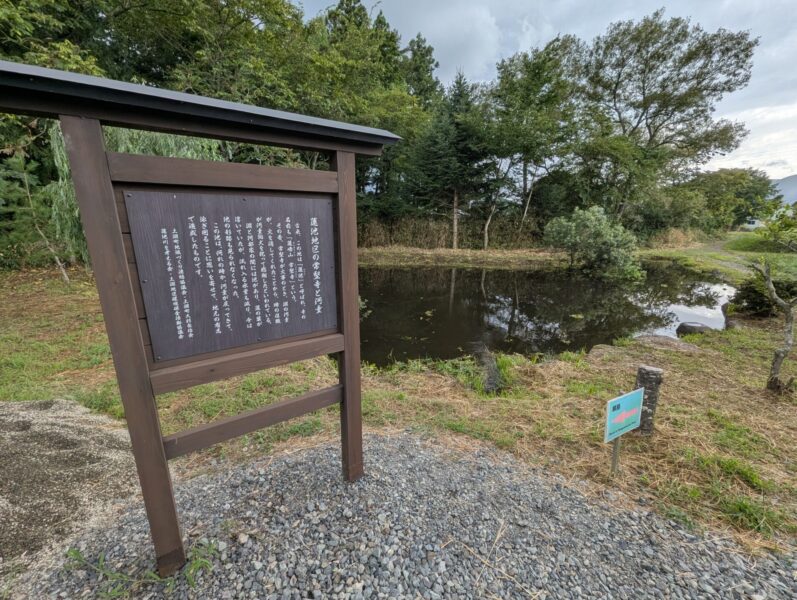 L'étang aux lotus derrière le temple Jokenji