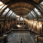 museum-2203648_1280