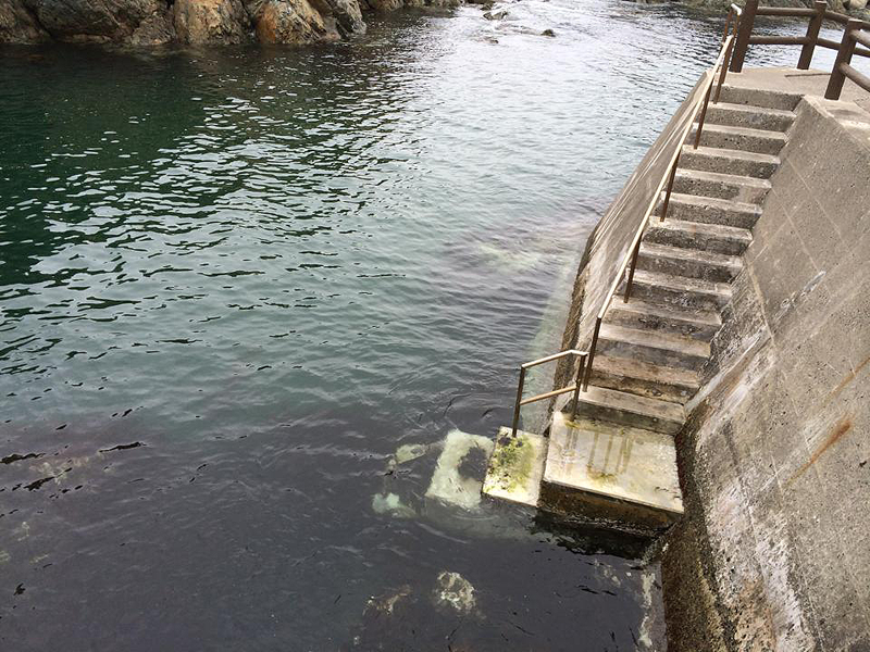 【岩手県久慈市】北限の海女に出会える「小袖海女センター」！あまちゃんの地で焼きたてウニを堪能！ | 東北ろっけん雑学メディア：NEFT（ネフト）