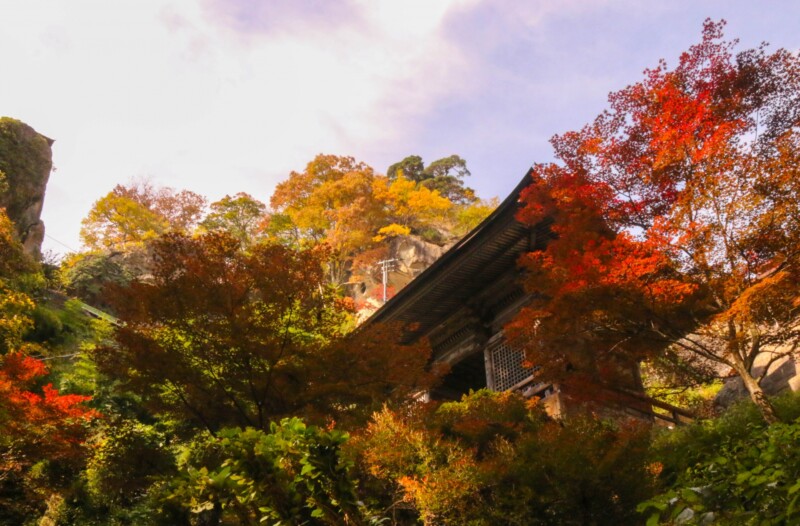 立石寺(山寺)の紅葉
