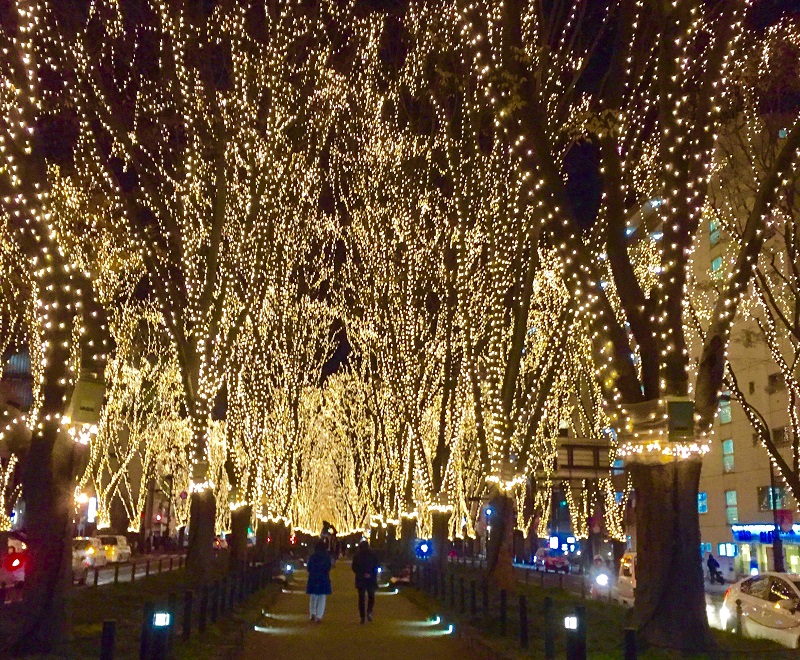 pageant of light