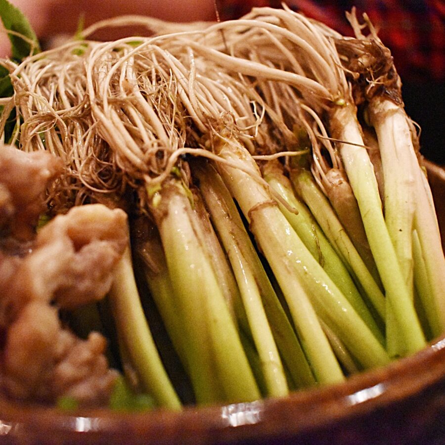 Sendai specialty "Seri Nabe"