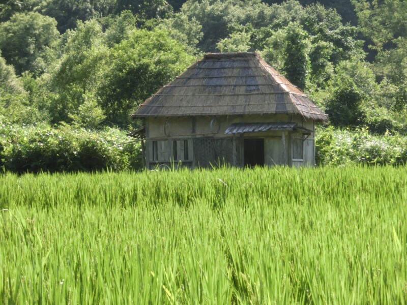 庄内オープンセット 農村エリア