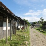 Studio Sedic Shonai Open Set