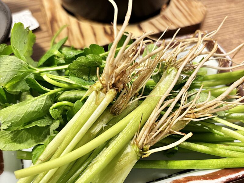 Raíces de perejil para usar en olla caliente