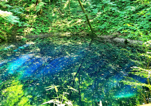 Étang Aoike dans les monts Shirakami (ville de Fukaura, préfecture d'Aomori)