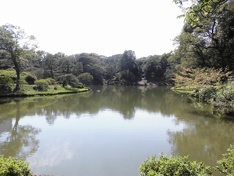 茶屋からの池の眺め