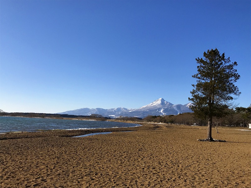 志田浜の景色