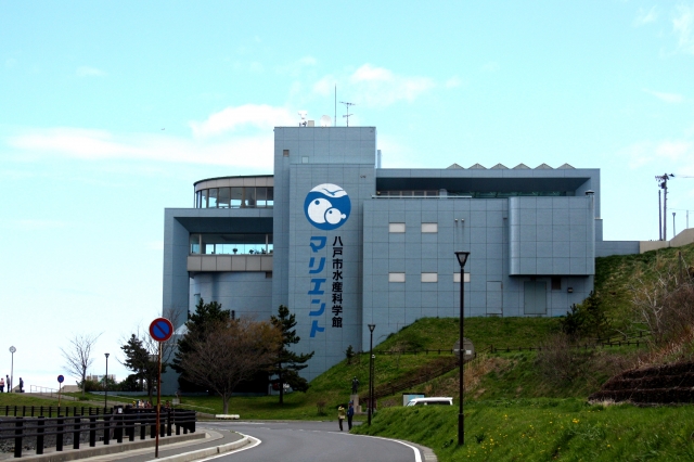 水産科学館マリエント