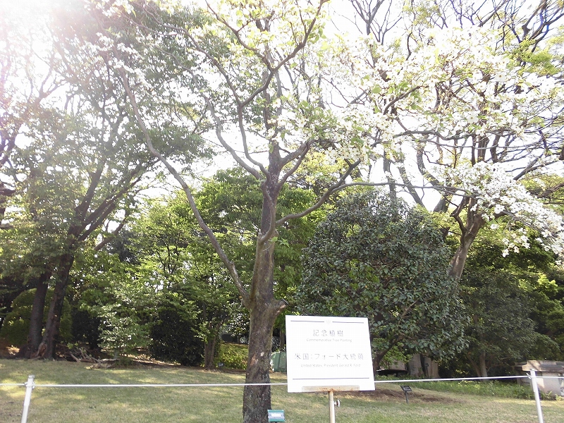 記念植樹