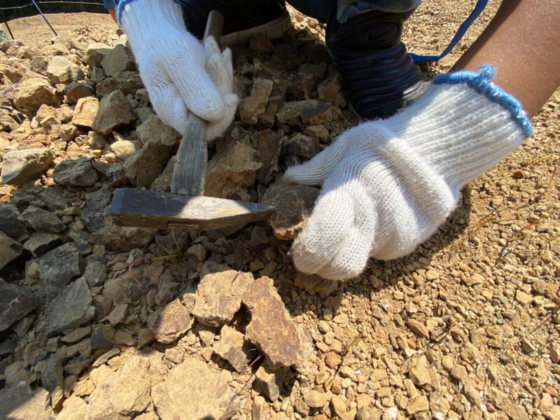 化石発掘作業