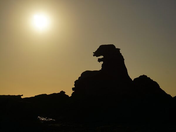 Godzilla Rock