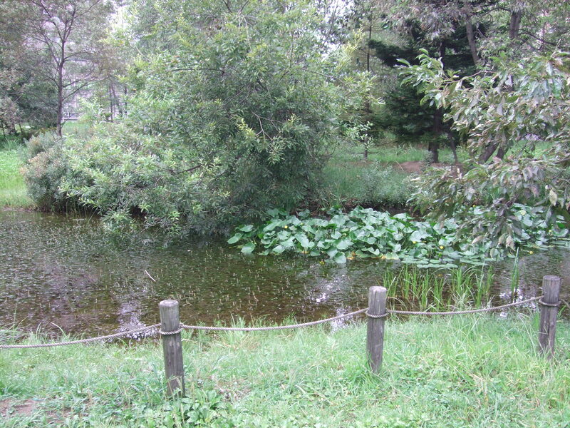 氷河期の森