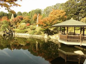 六角浮き見堂と紅葉