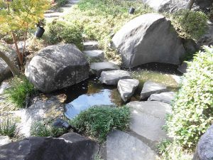 滝から、滝見台へ続く道