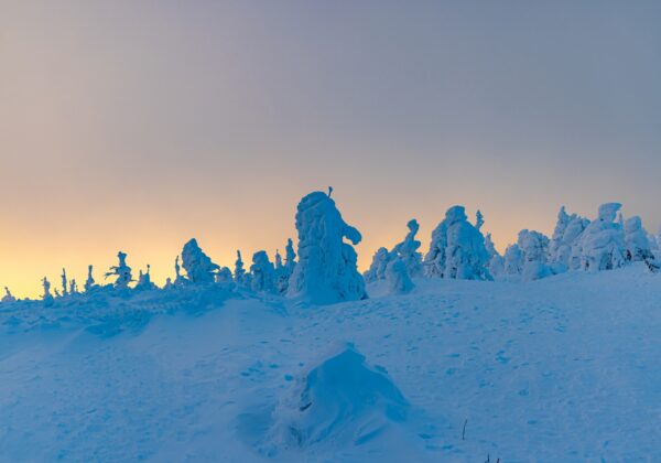 Árbol de hielo de Zao ②