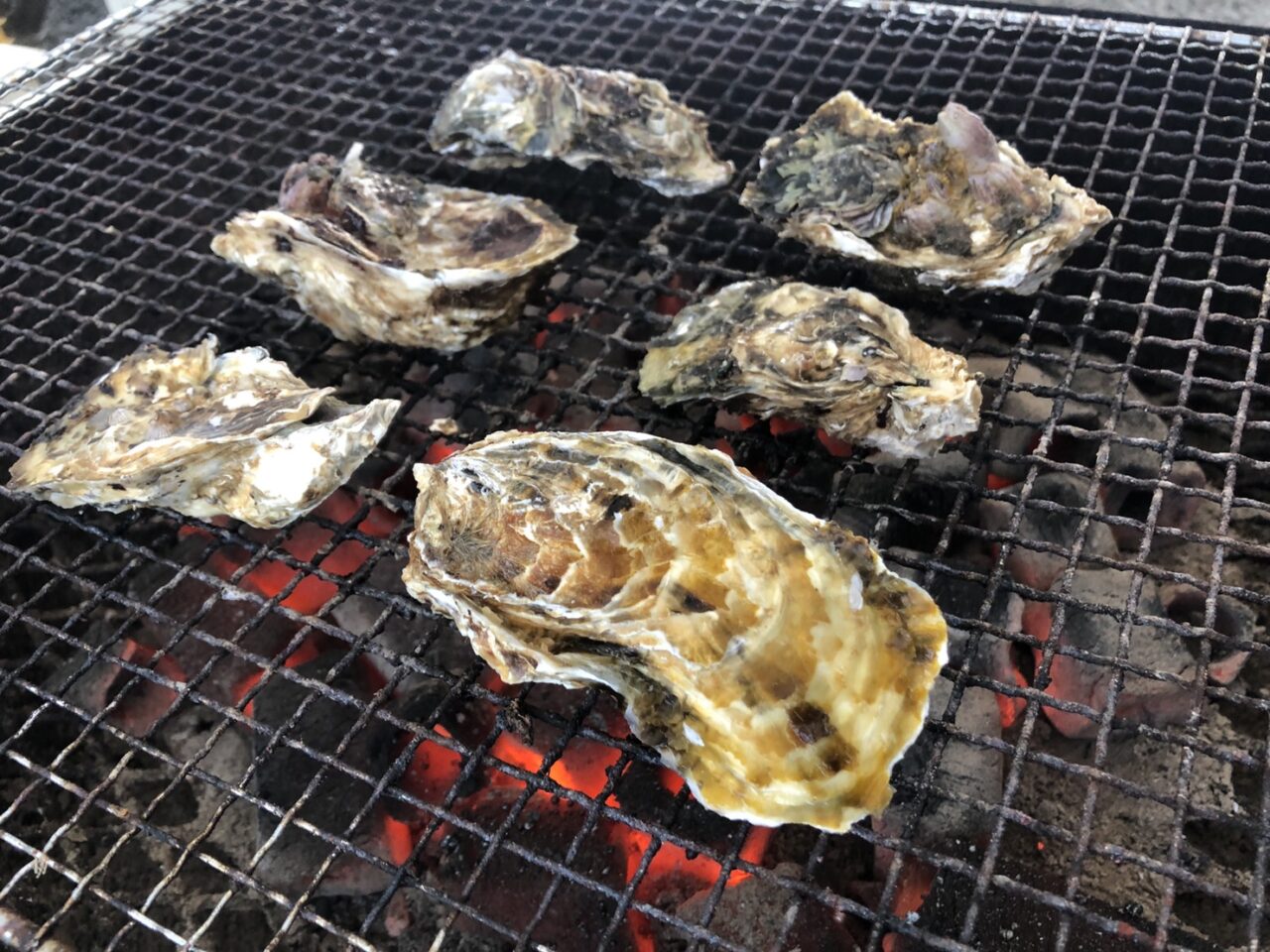 宮城県】牡蠣を使った加工品「牡蠣味噌」や「牡蠣の潮煮（うしおに）」がお土産に絶品 | 東北ろっけん雑学メディア【NEFT（ネフト）】