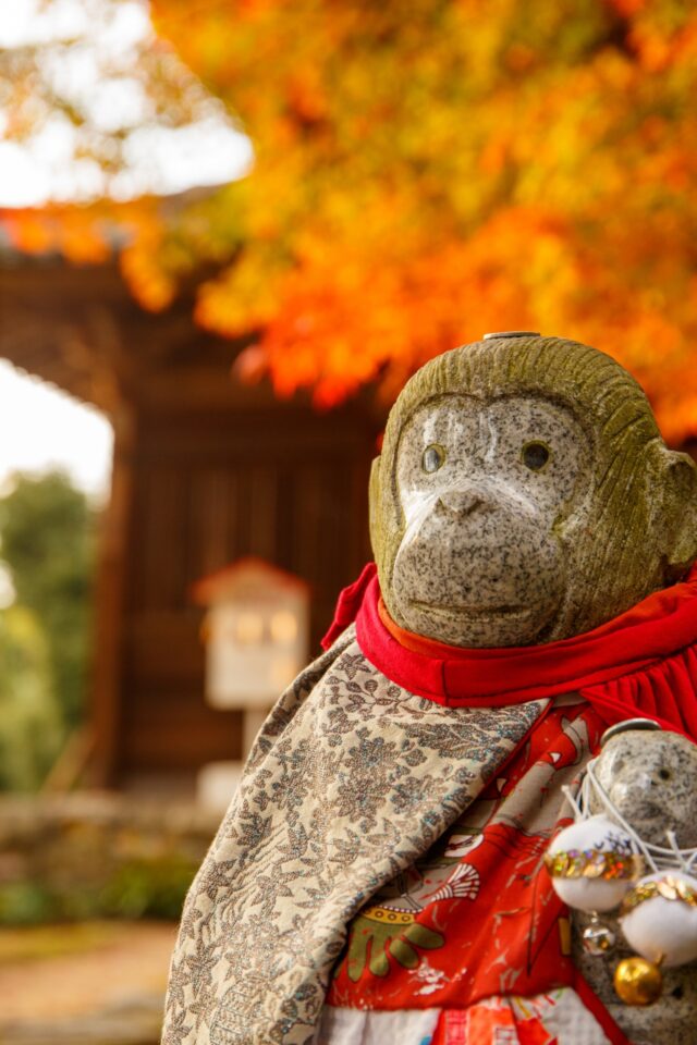 Japanese monkey様（兎わさび 大島誠也 on X:  