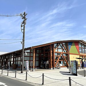 石卷元气市场