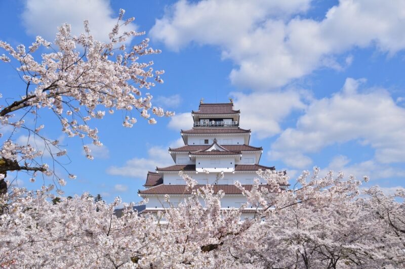 鶴ヶ城(春)