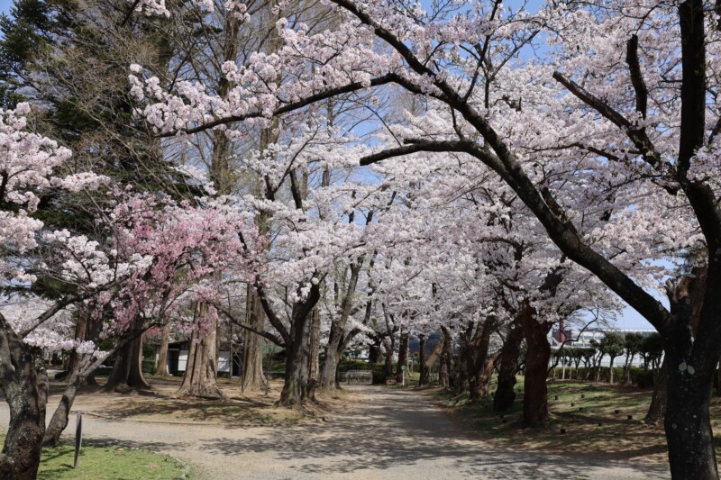 開成山公園
