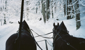 escena de nieve y carruaje de caballos