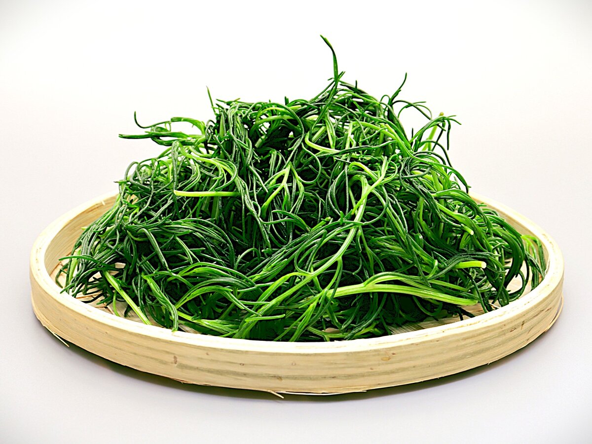 Okahijiki