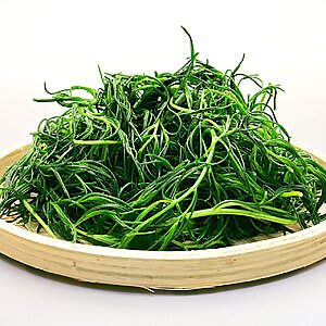 Okahijiki