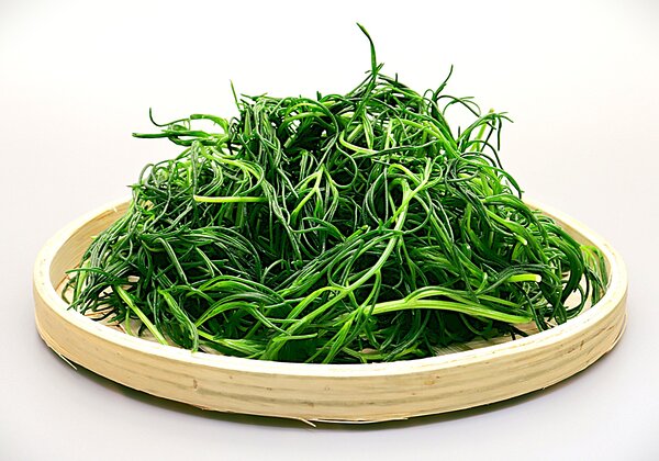 Okahijiki