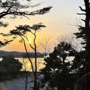 Coucher de soleil de la forêt d&#39;Otaka, Matsushima, les trois endroits les plus populaires du Japon