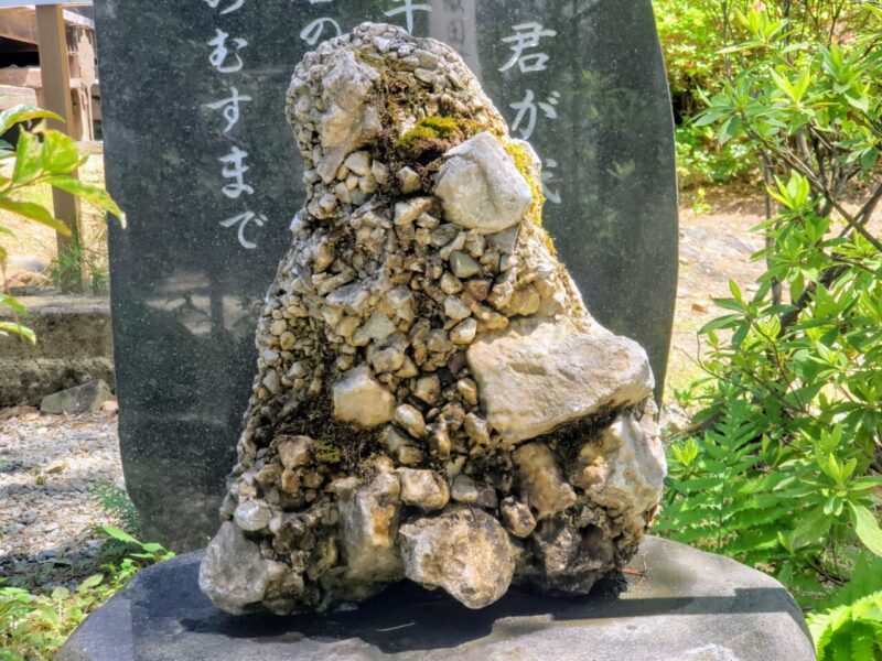 사자레 돌