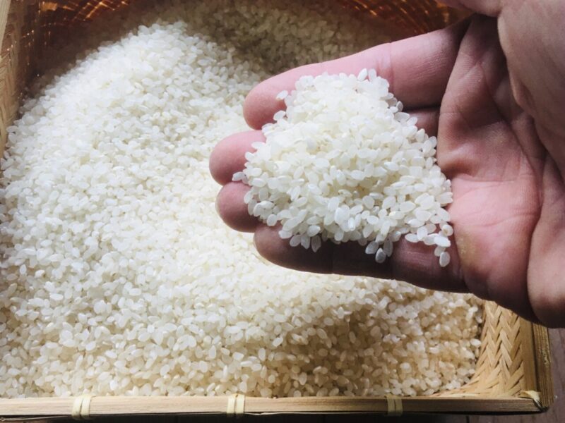 carefully selected rice