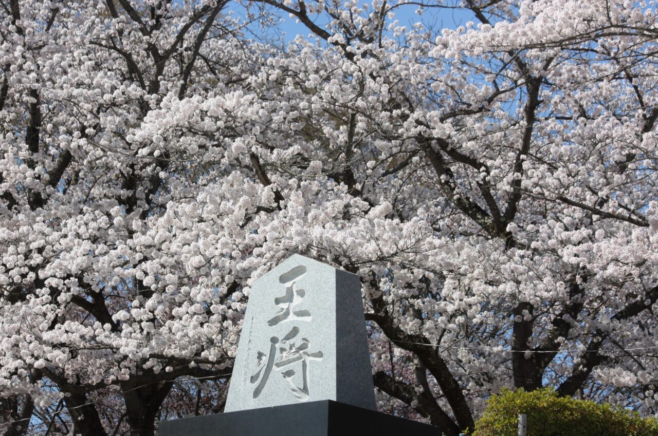 天童公園
