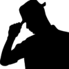 Daiwa Consilio