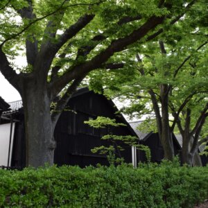 山京仓库