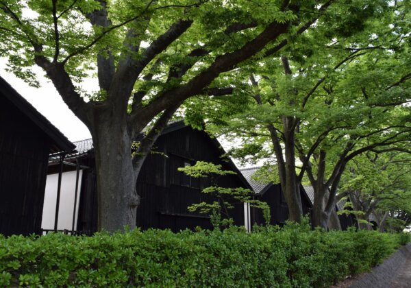 山京仓库