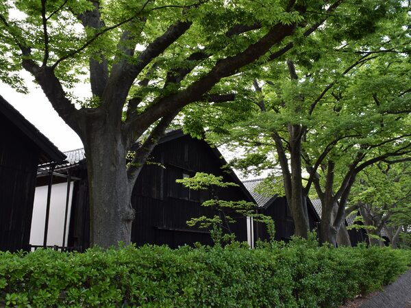 山京仓库