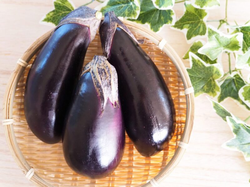Eggplant