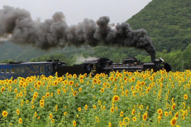 宮沢賢治の「銀河鉄道の夜」にちなんで名付けられたSL銀河