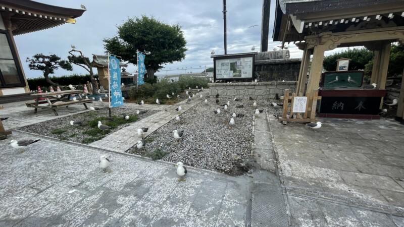 蕪嶋神社の境内