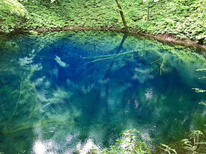 十二湖(白神山地)