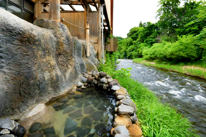 Fujisan Ryokan